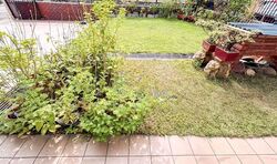Golden Hill Estate (D19), Terrace #536070061